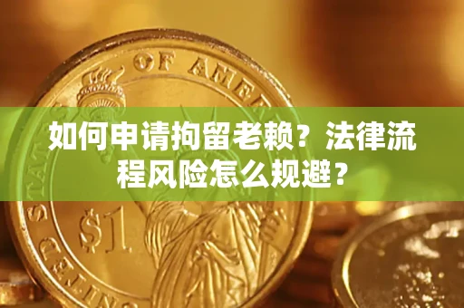 武汉如何申请拘留老赖？法律流程风险怎么规避？