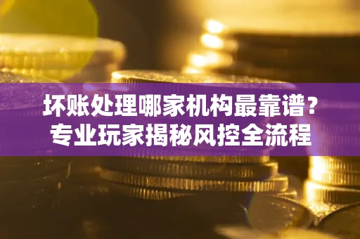 武汉坏账处理哪家机构最靠谱？专业玩家揭秘风控全流程