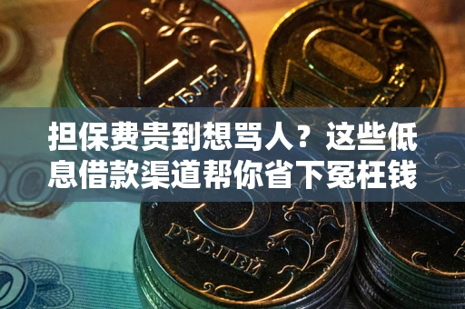 武汉担保费贵到想骂人？这些低息借款渠道帮你省下冤枉钱