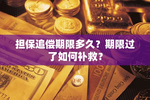 武汉担保追偿期限多久？期限过了如何补救？