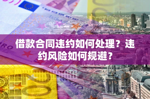 武汉借款合同违约如何处理？违约风险如何规避？