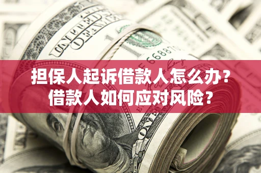 武汉担保人起诉借款人怎么办？借款人如何应对风险？