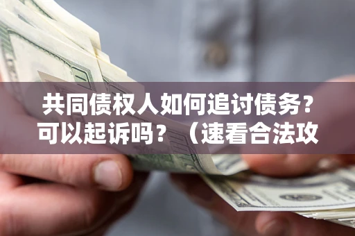 武汉共同债权人如何追讨债务？可以起诉吗？（速看合法攻略）