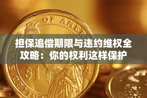 武汉担保追偿期限与违约维权全攻略：你的权利这样保护