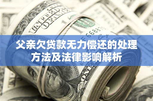 武汉父亲欠贷款无力偿还的处理方法及法律影响解析