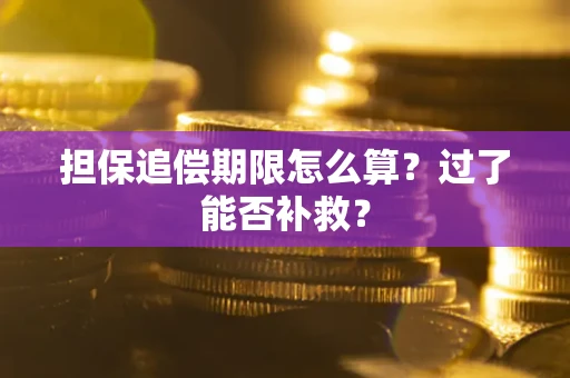 武汉担保追偿期限怎么算？过了能否补救？